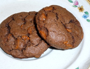 Mexican Spice Cinnamon Chip Cookies